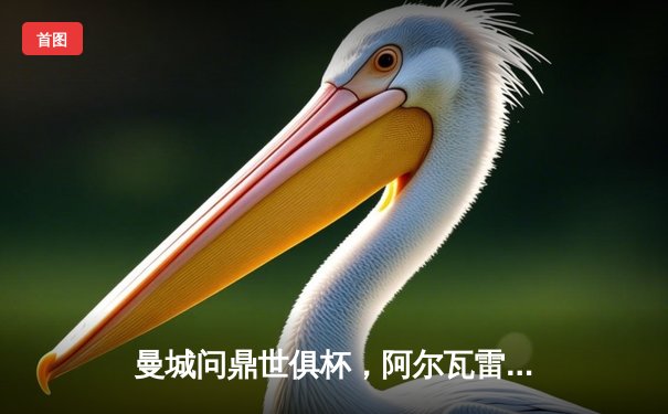 曼城问鼎世俱杯，阿尔瓦雷斯闪耀决赛